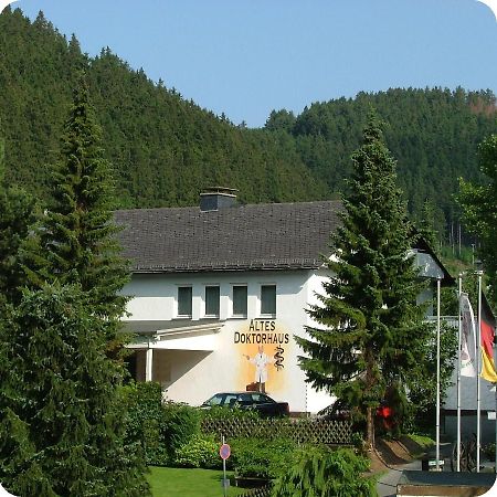 Altes Doktorhaus - Hotel Garni Willingen  Exterior foto